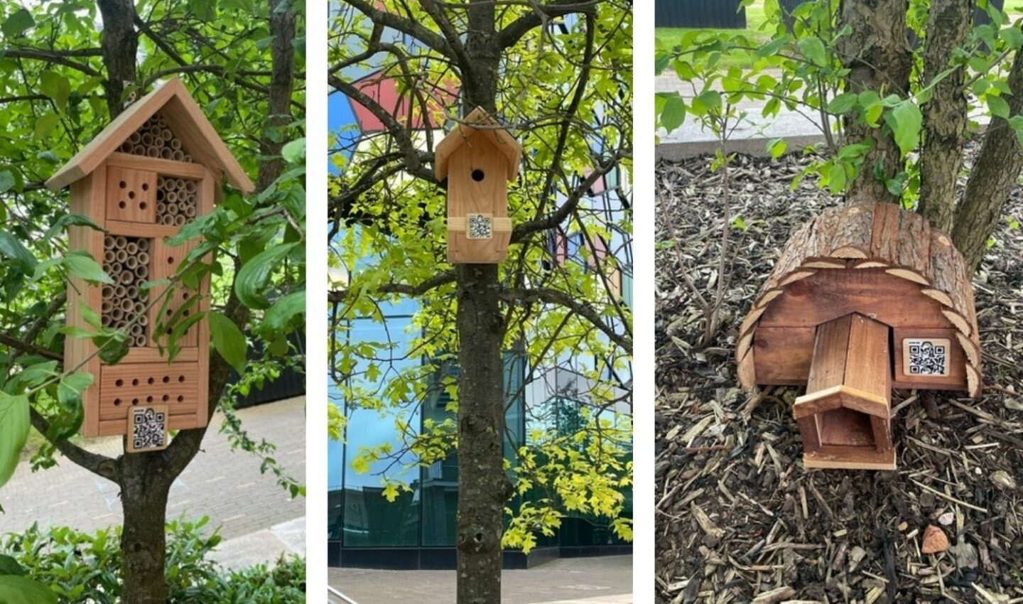 Three pictures showing two bird boxes on trees and a hedgehog hut on bark chips.